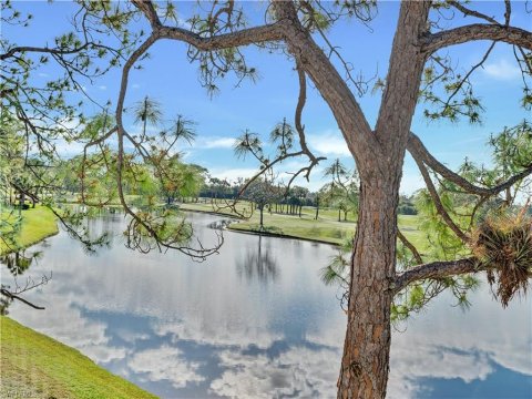 Bears Paw Naples Real Estate