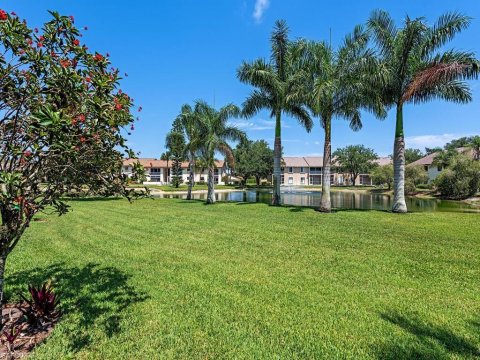 Palm River Naples Florida Condos for Sale