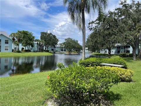 Palm River Naples Florida Real Estate