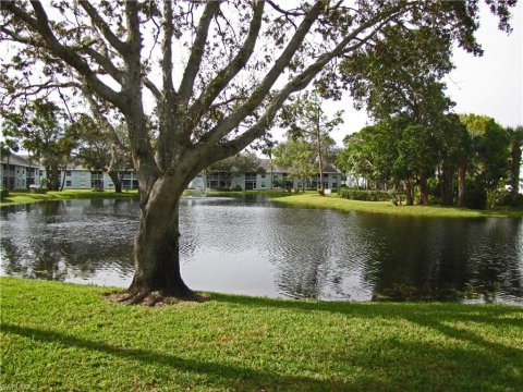 Palm River Real Estate