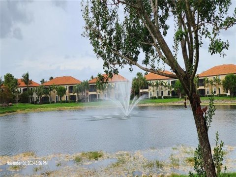 Paloma Bonita Springs Real Estate