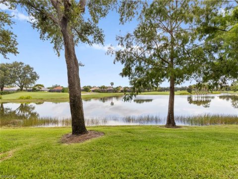 Pelican Sound Estero Real Estate