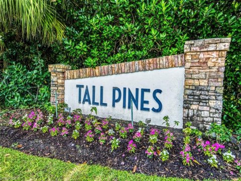 Tall Pines Naples Florida Real Estate