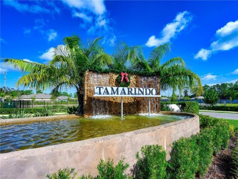 Tamarindo Naples Florida Real Estate